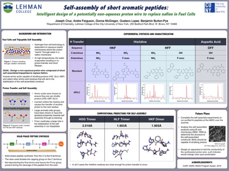 Self-Assembly of short Aromatic Peptides
2016 Self-Assembly of short Aromatic Peptides
2016